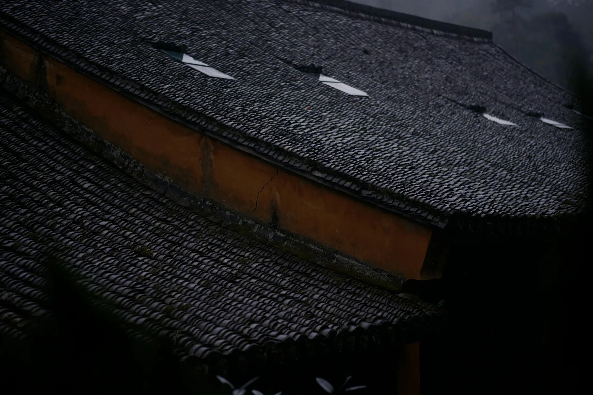 Storm and fallen tree roof damage repair