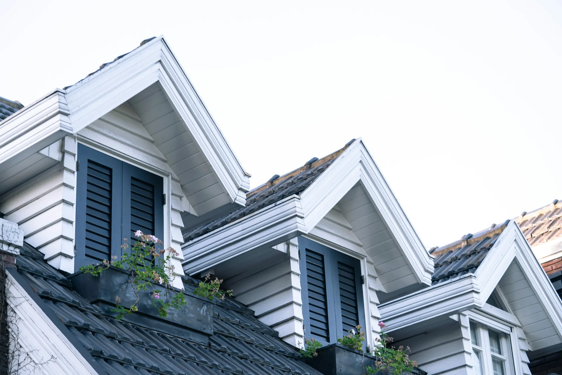 Roof inspection services in the Charlotte area